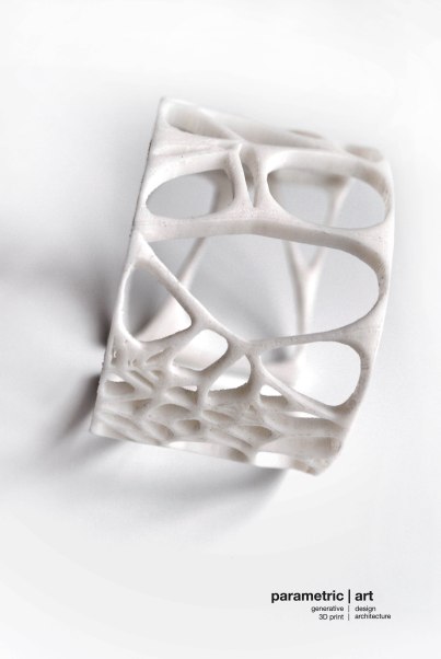 designed and 3dprinted by parametric|art