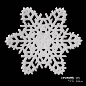 designed with The Snowflake Machine-Thingiverse/printed by parametric|art